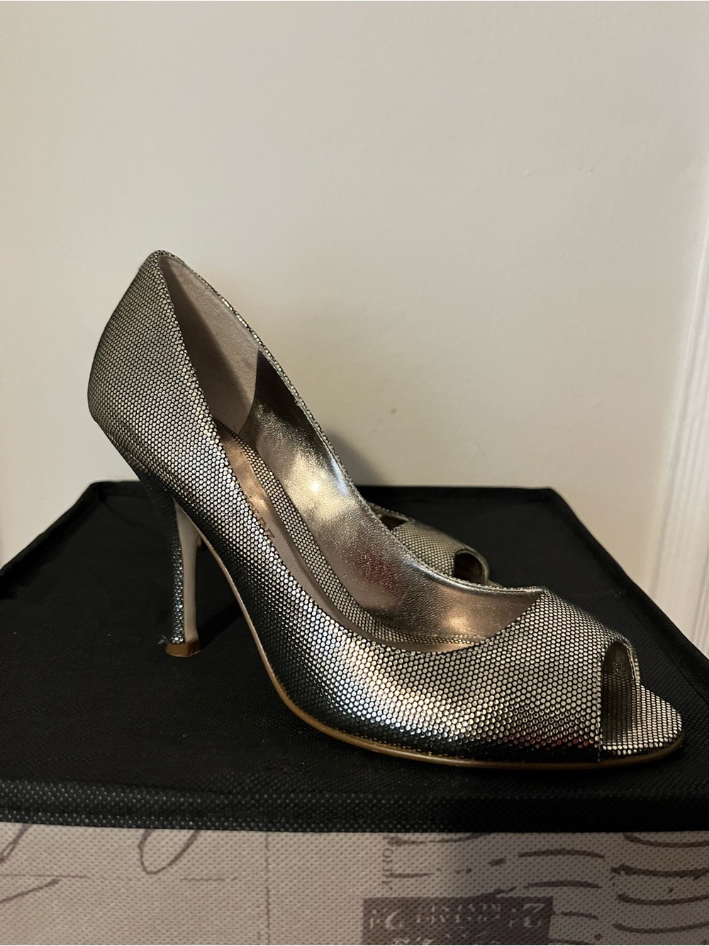 Enzo Angiolini Metallic Silver Peep-Toe High Heels